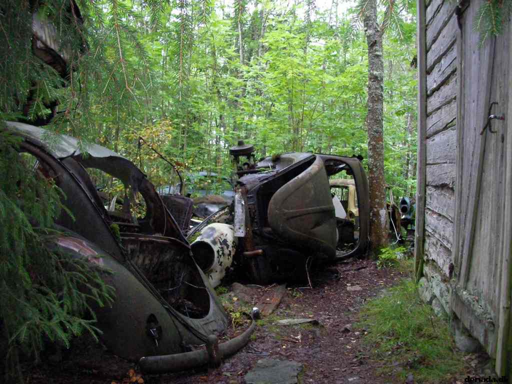 * Image 57