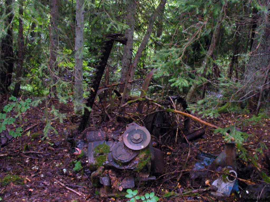 * Image 77