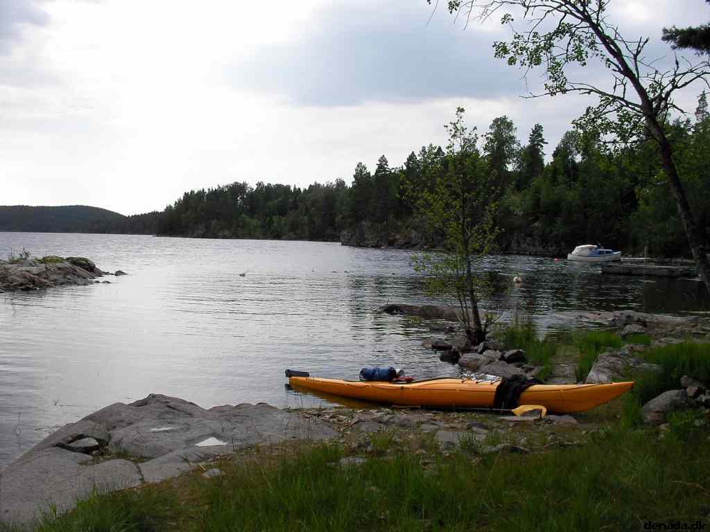 * Image 81