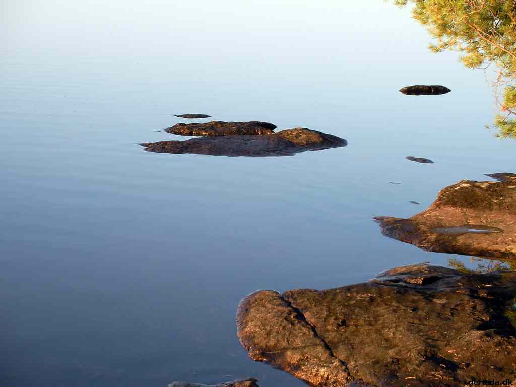 * Image 117