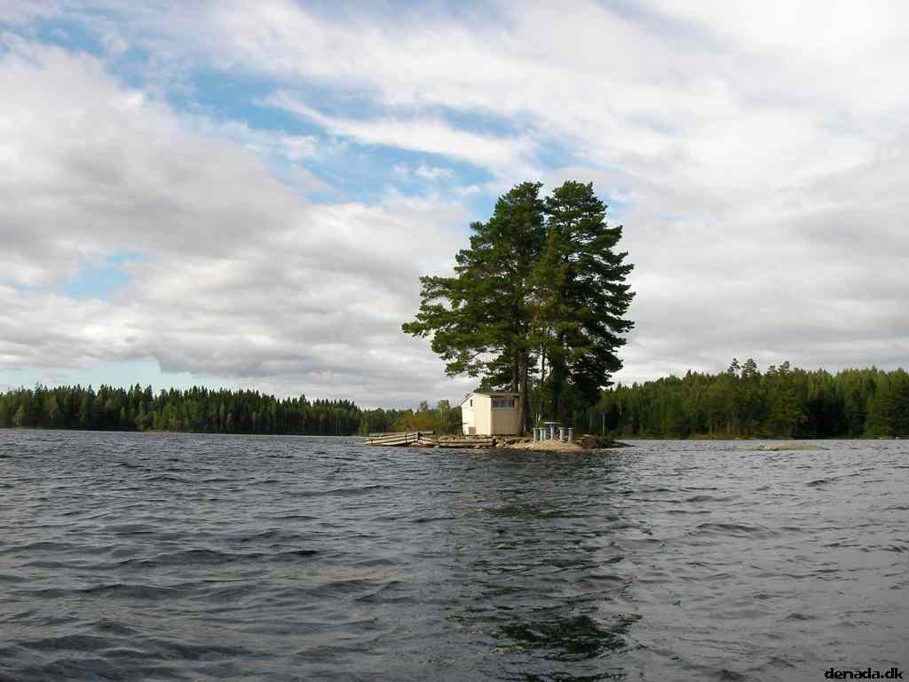 * Image 134