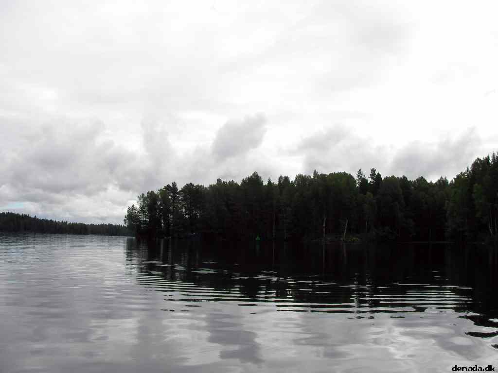 * Image 139