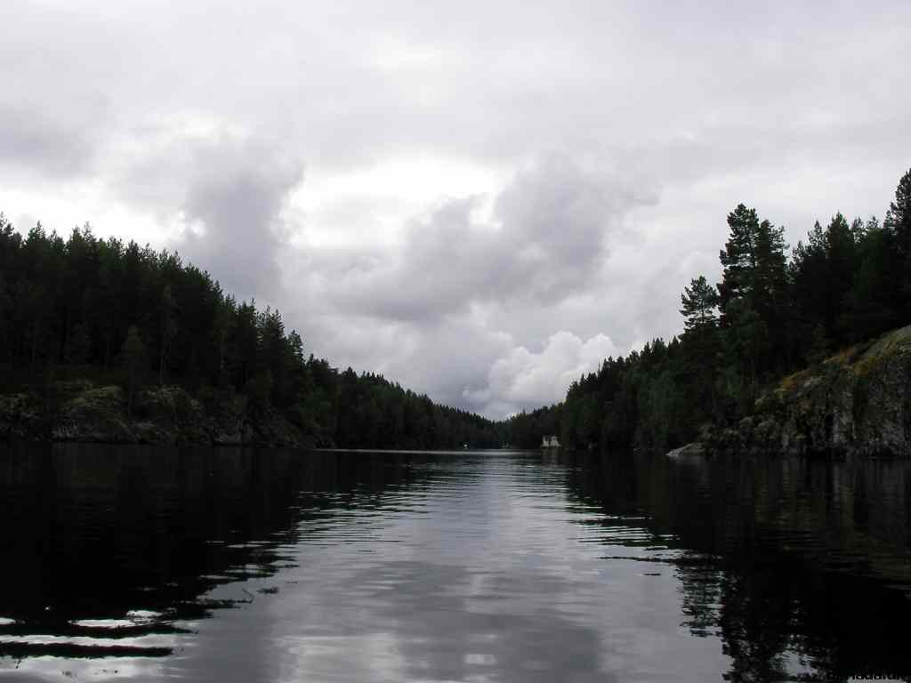 * Image 140