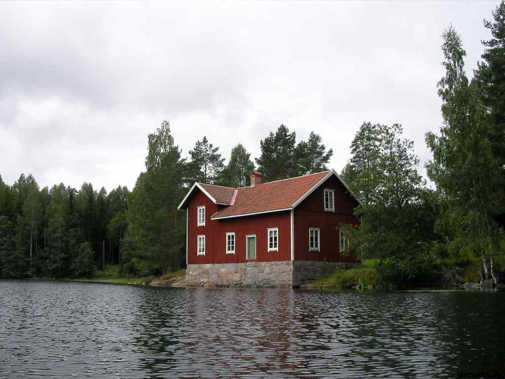 * Image 146