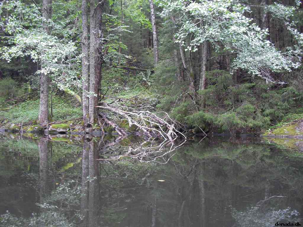 * Image 149