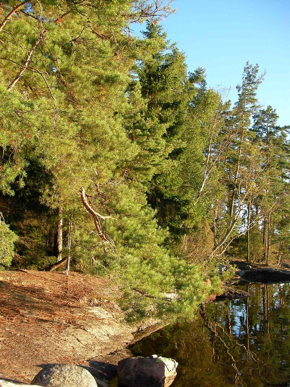 * Image 115