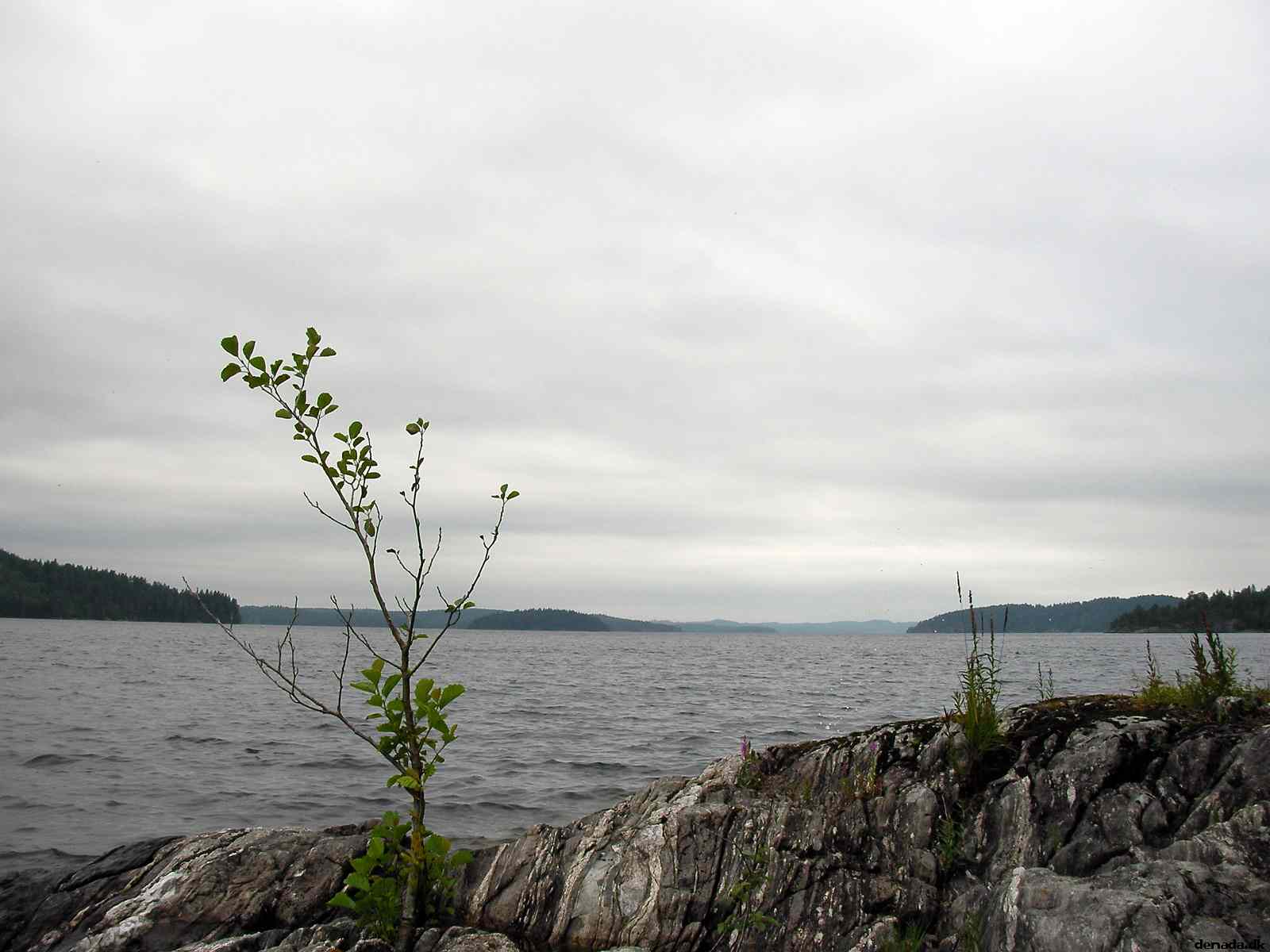 * Image 6