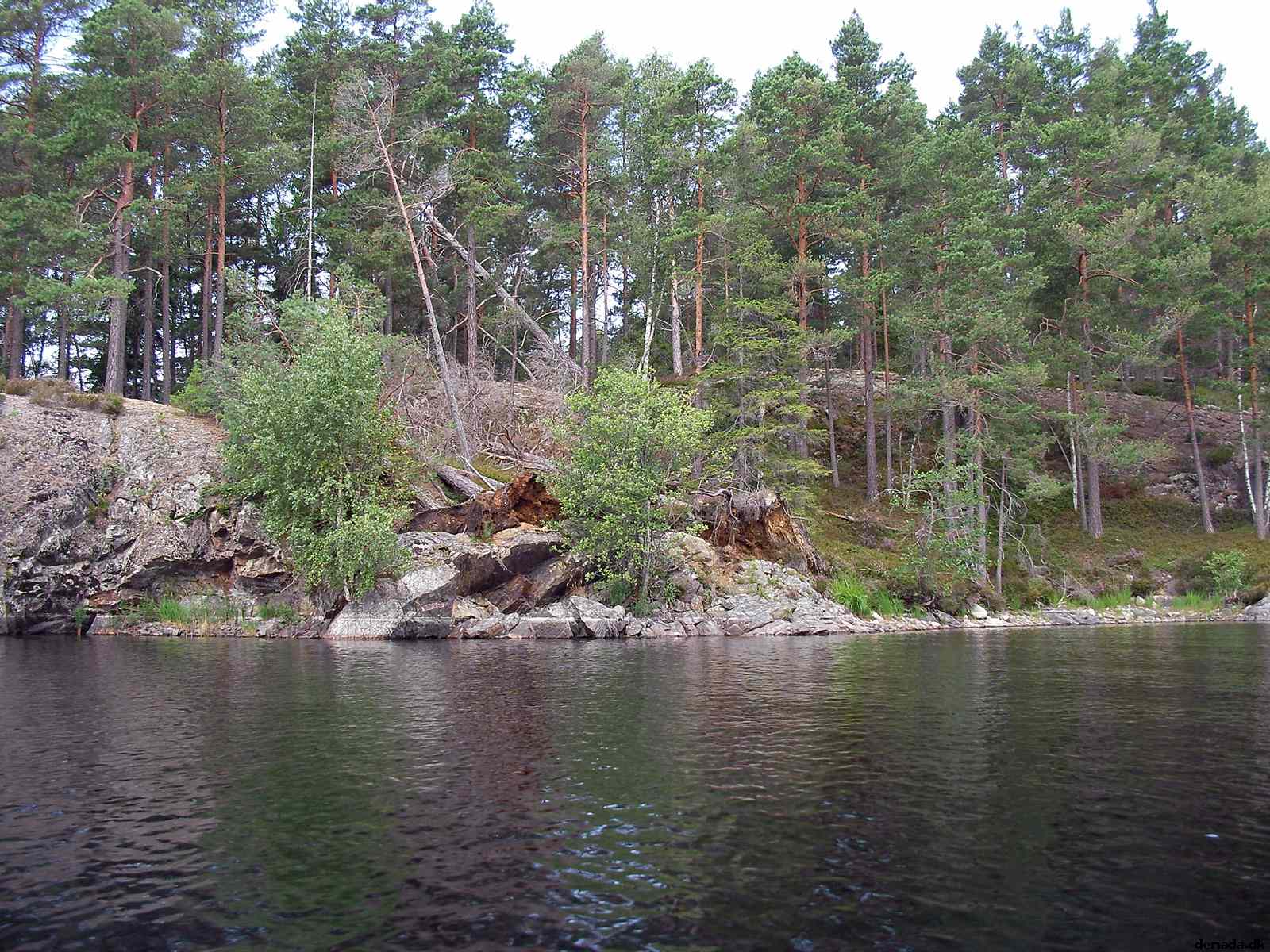 * Image 12