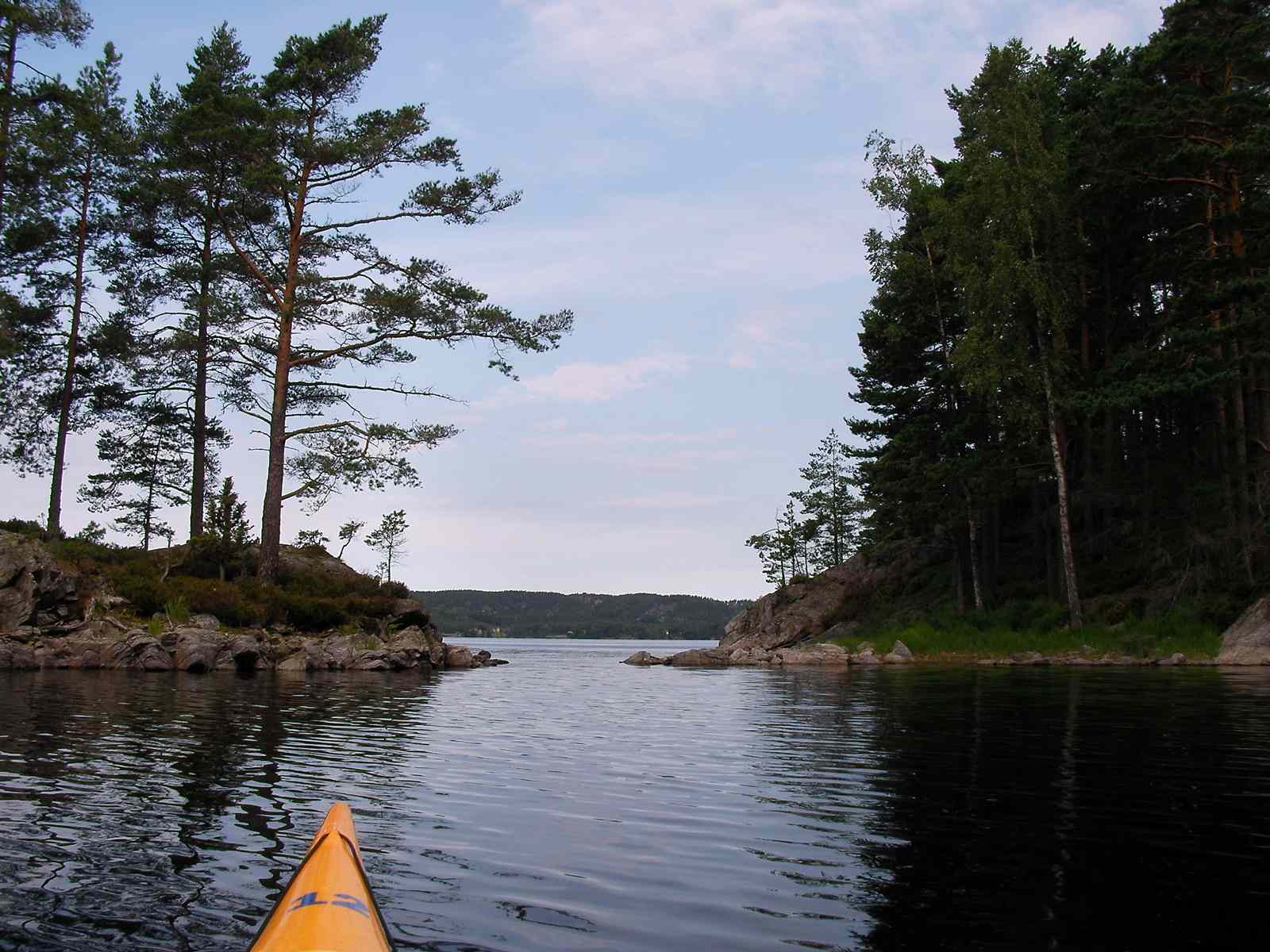 * Image 13