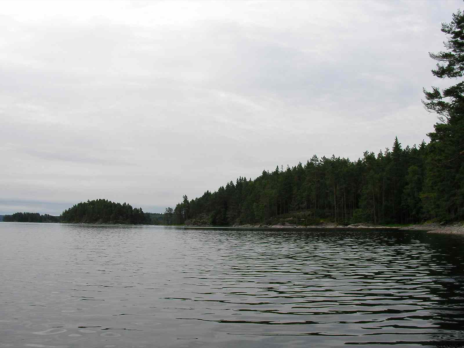 * Image 15
