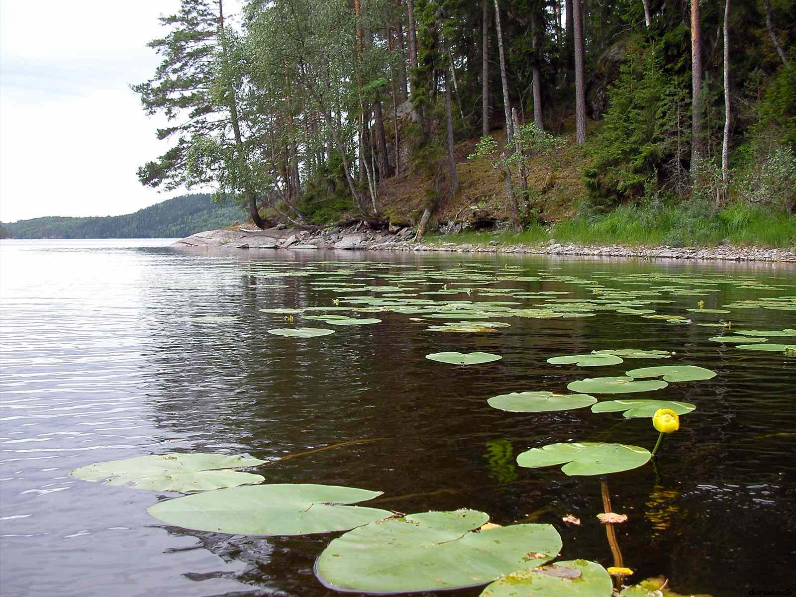* Image 16