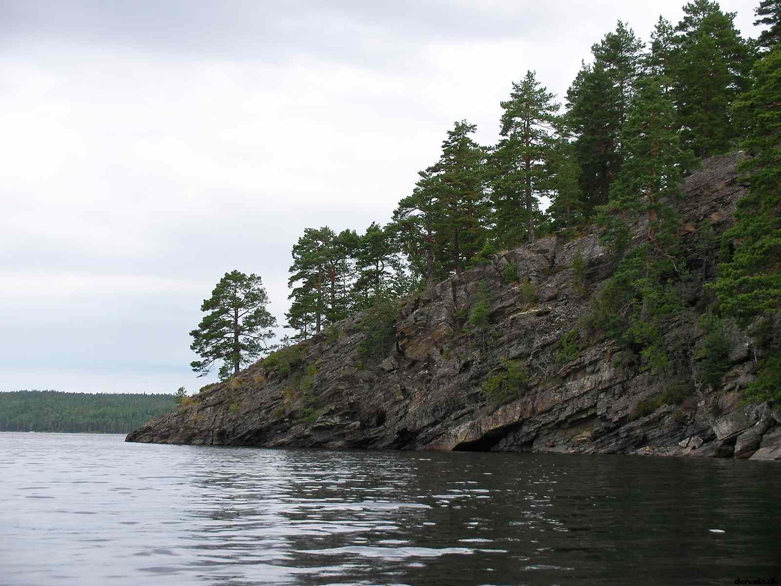 * Image 20