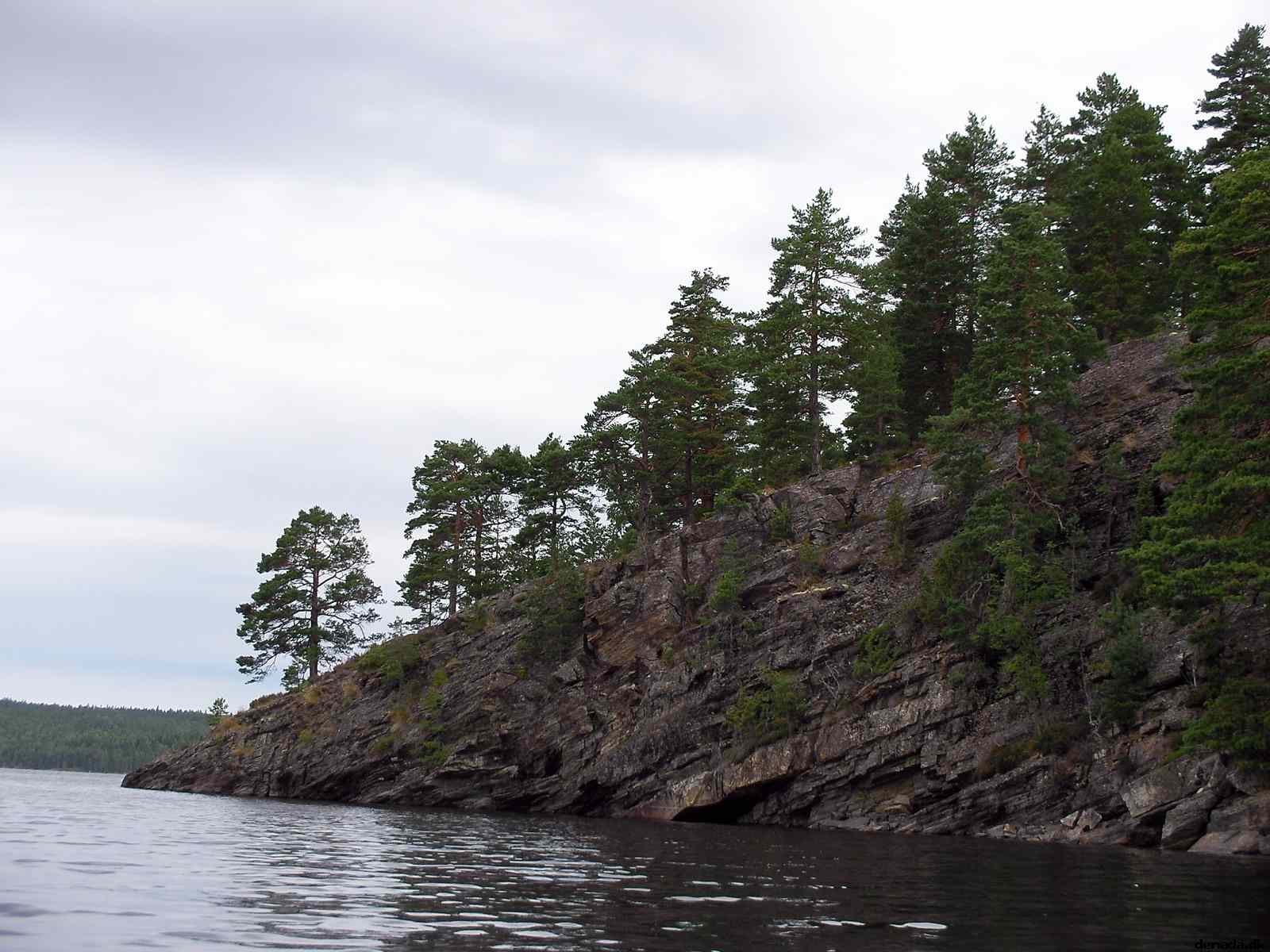 * Image 21