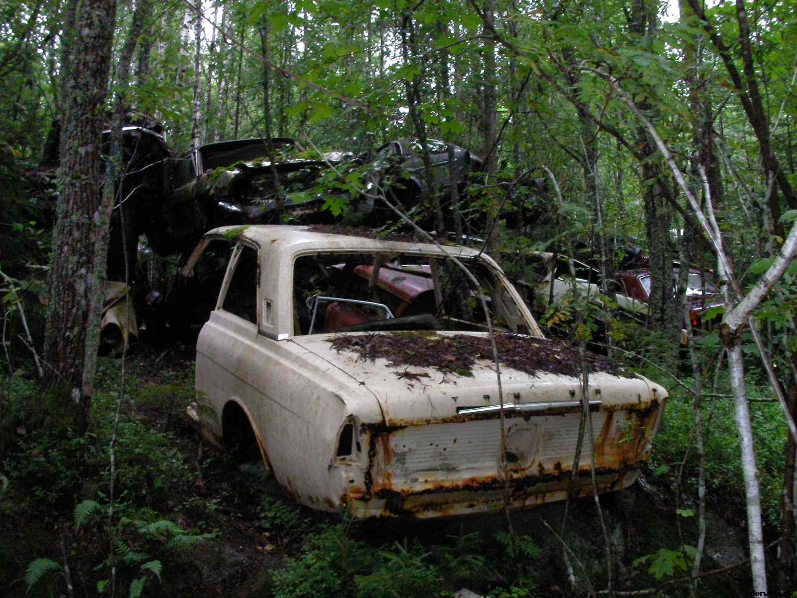 * Image 46