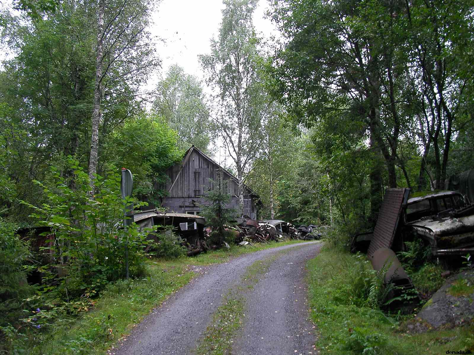 * Image 48