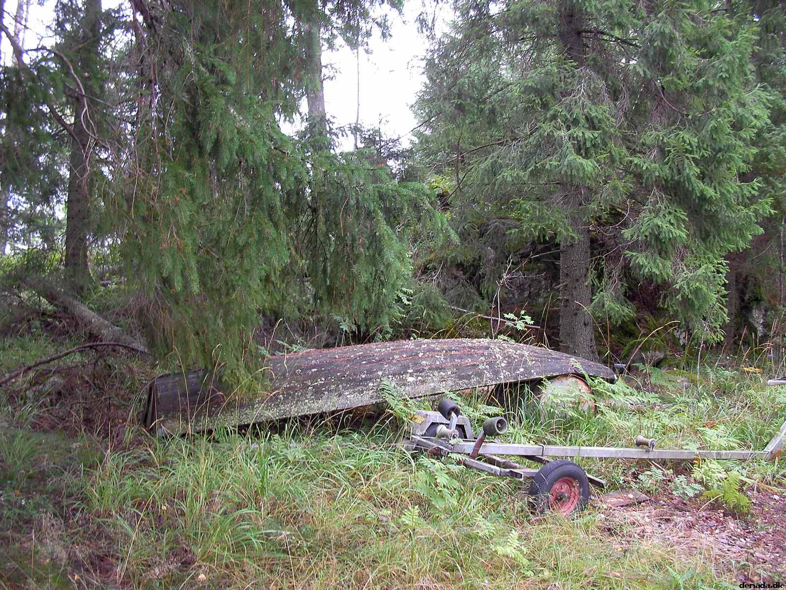 * Image 79