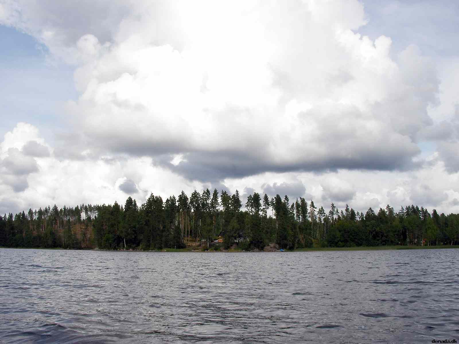 * Image 89
