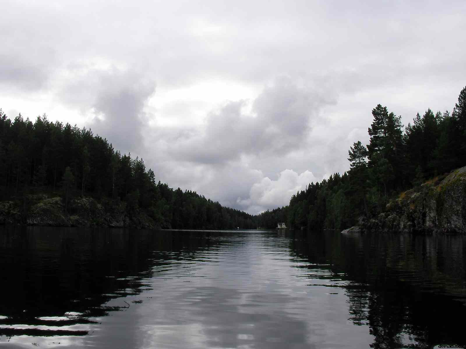 * Image 140