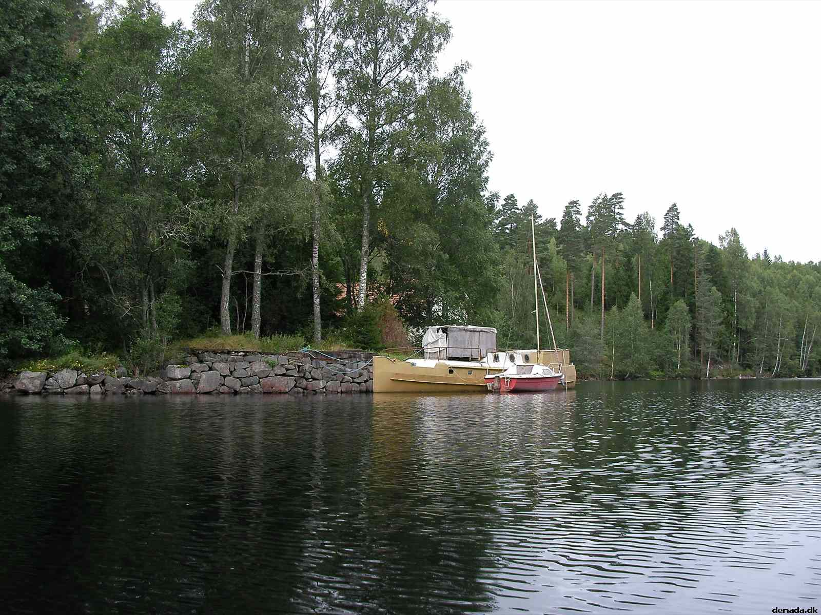 * Image 145