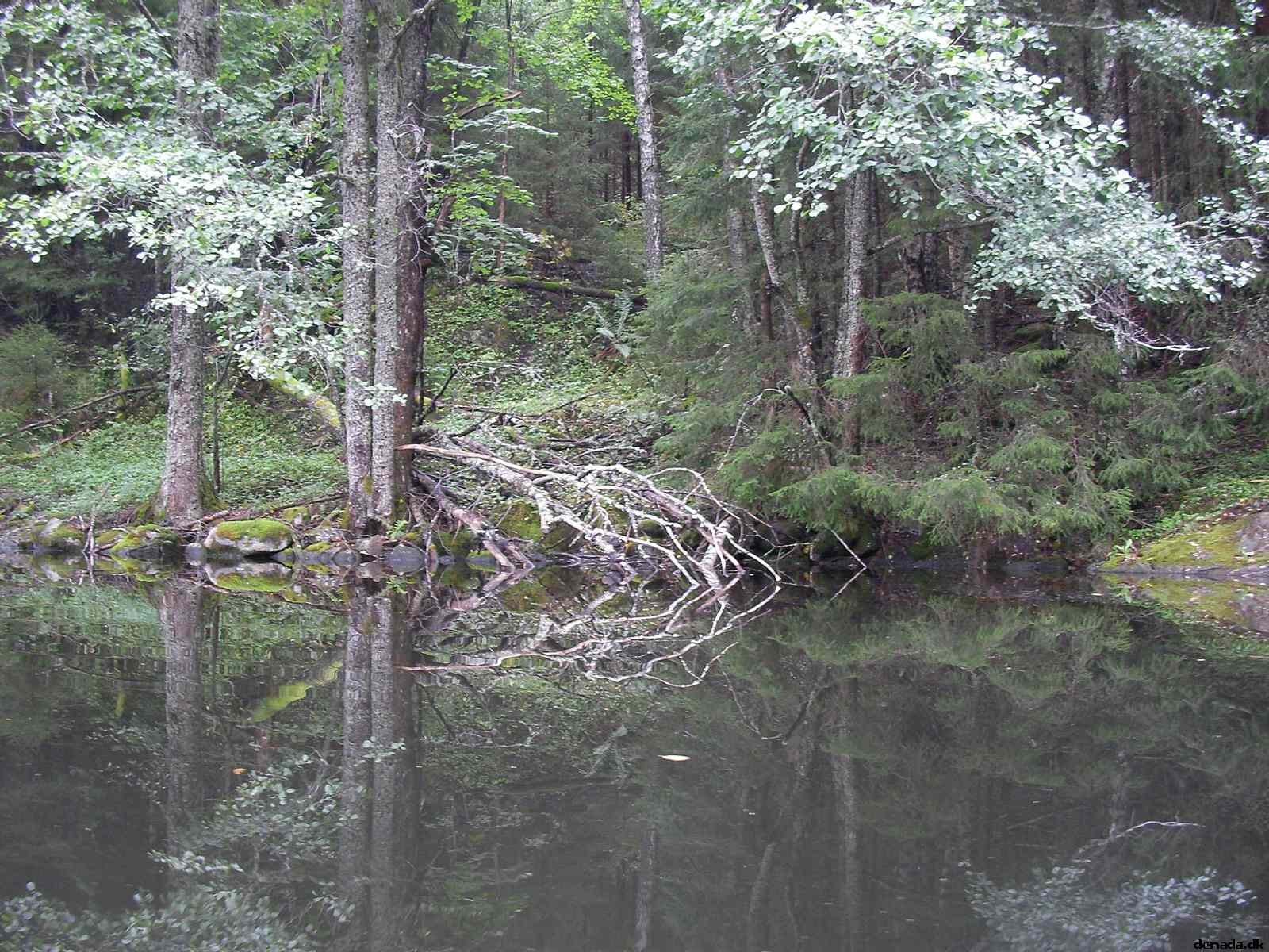 * Image 149
