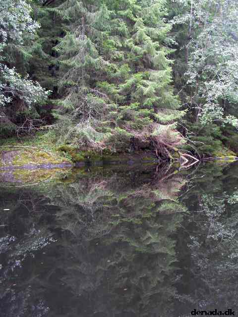 * Image 148