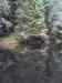 SANY2207m.jpg - 2010:08:26 12:31:43