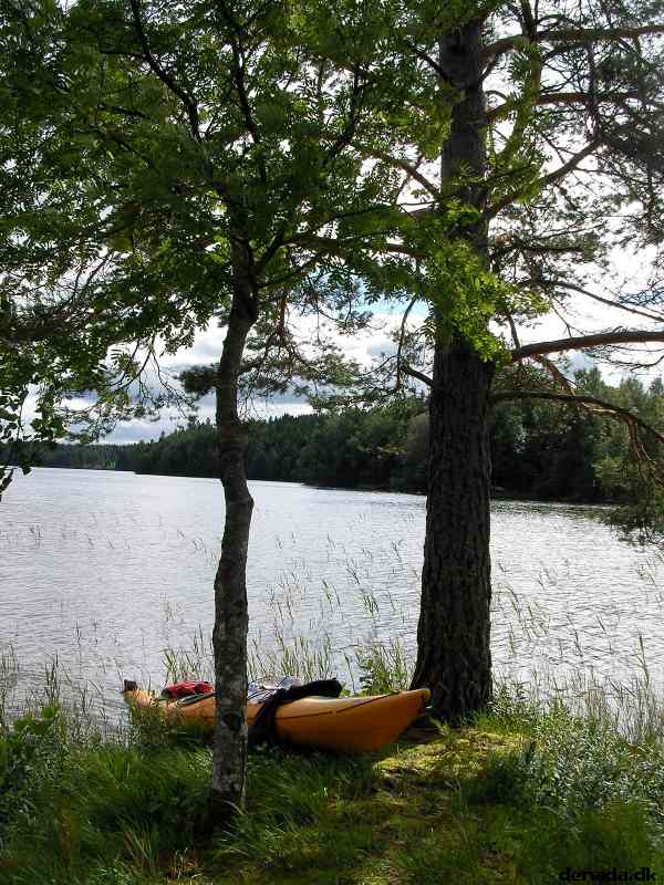 * Image 133