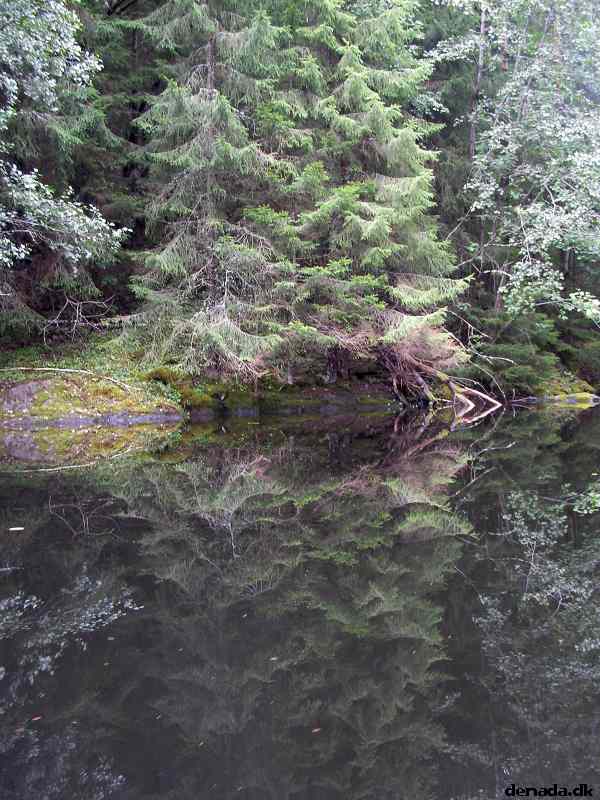 * Image 148