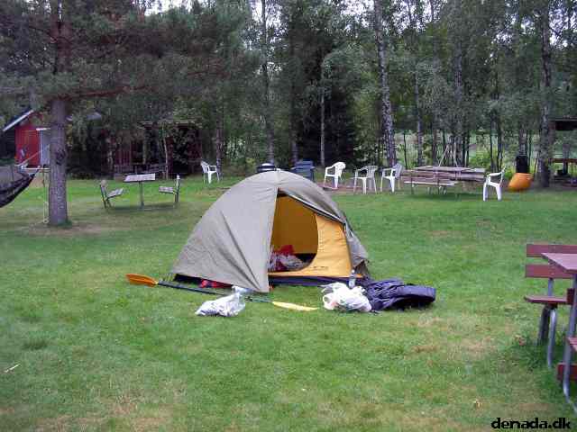 * Image 4