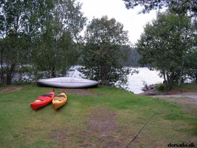 * Image 5