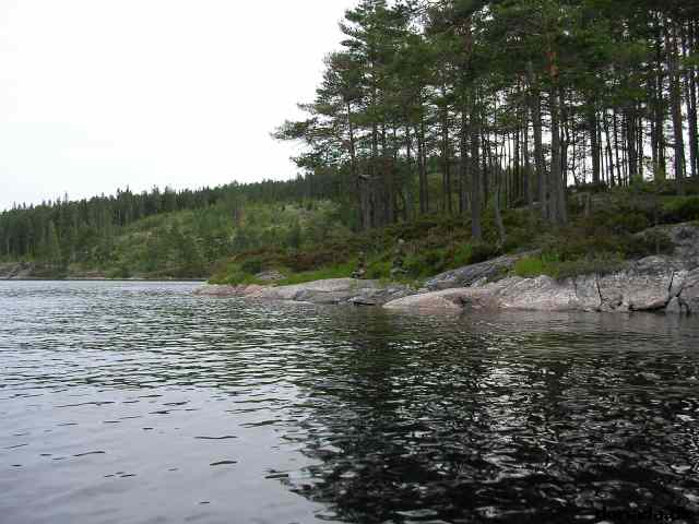 * Image 9