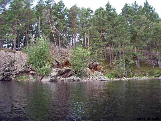 * Image 12