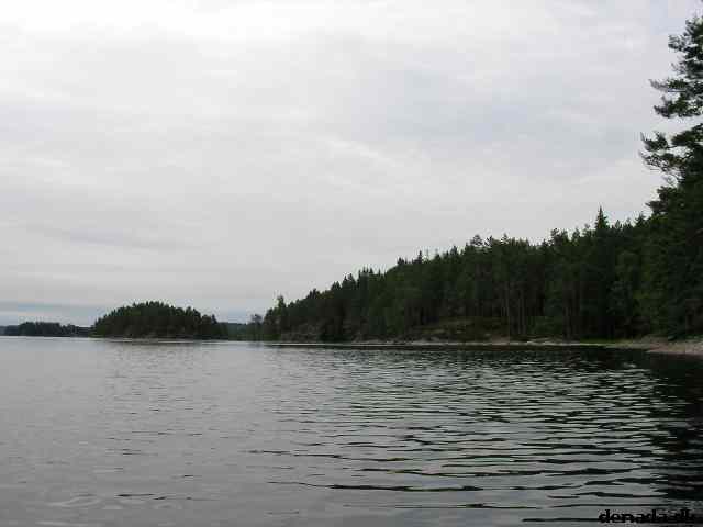 * Image 15
