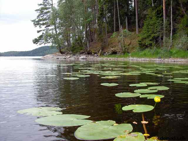 * Image 16