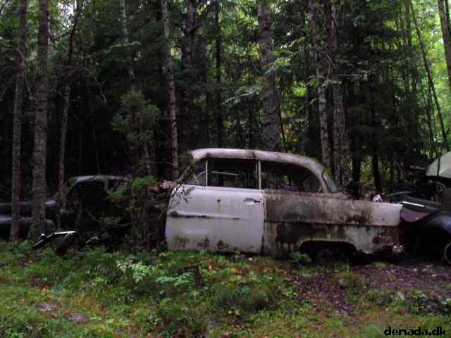 * Image 40