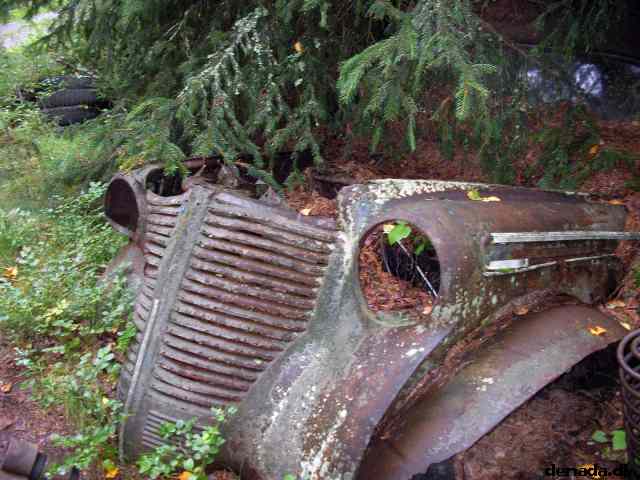 * Image 49