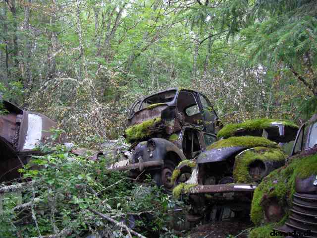 * Image 59