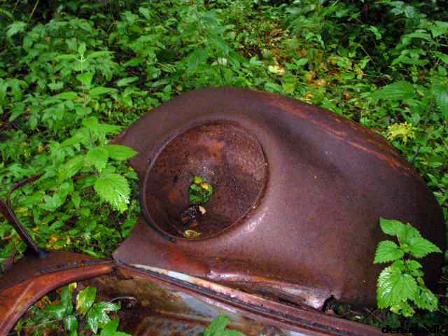 * Image 61