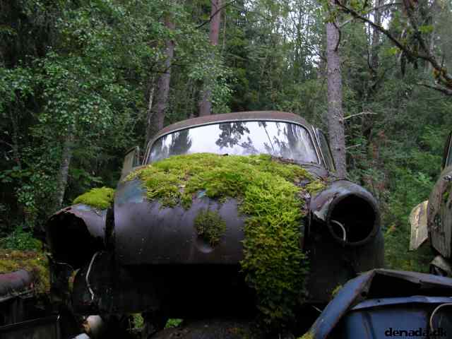 * Image 62