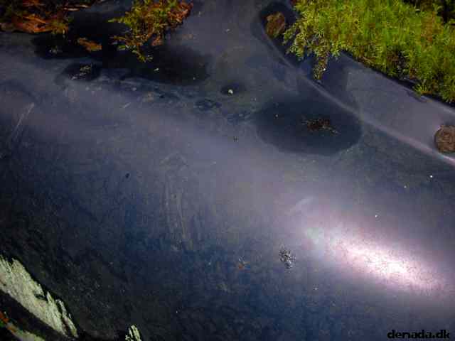 * Image 63