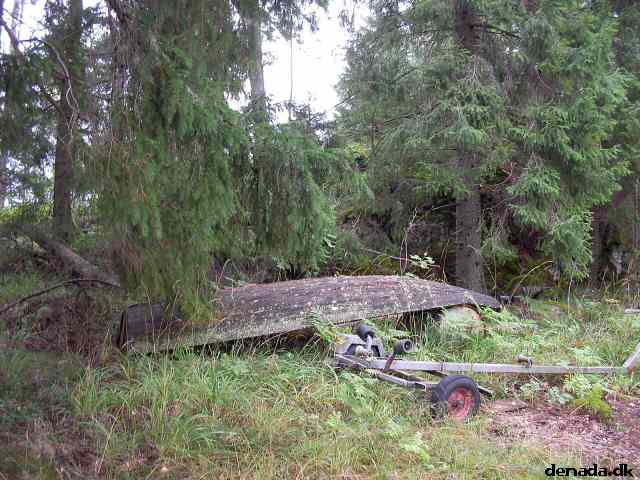 * Image 79