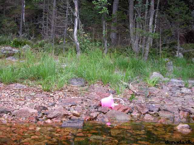 * Image 104