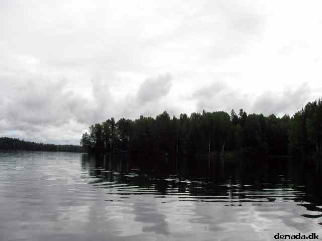 * Image 139