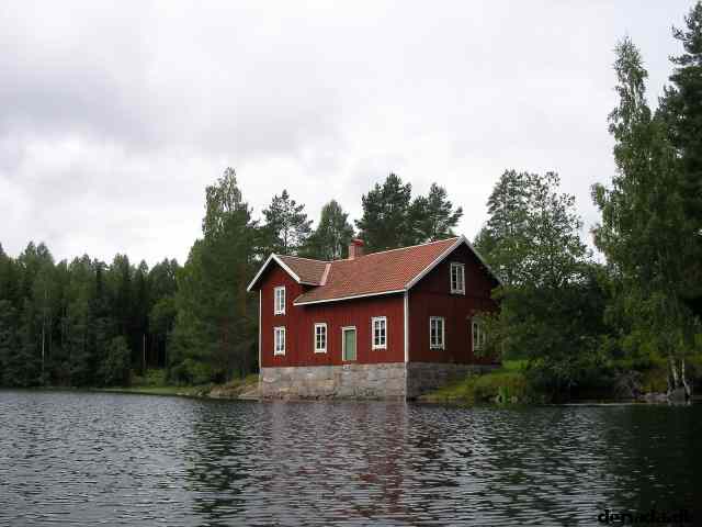 * Image 146