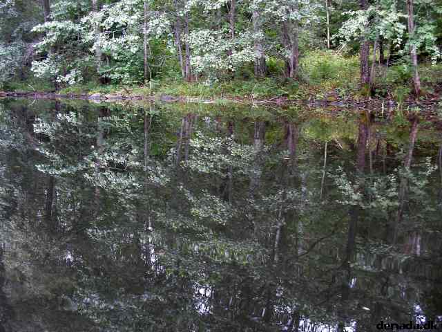 * Image 147