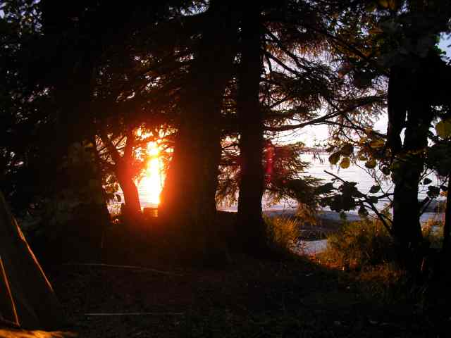 * Image 160
