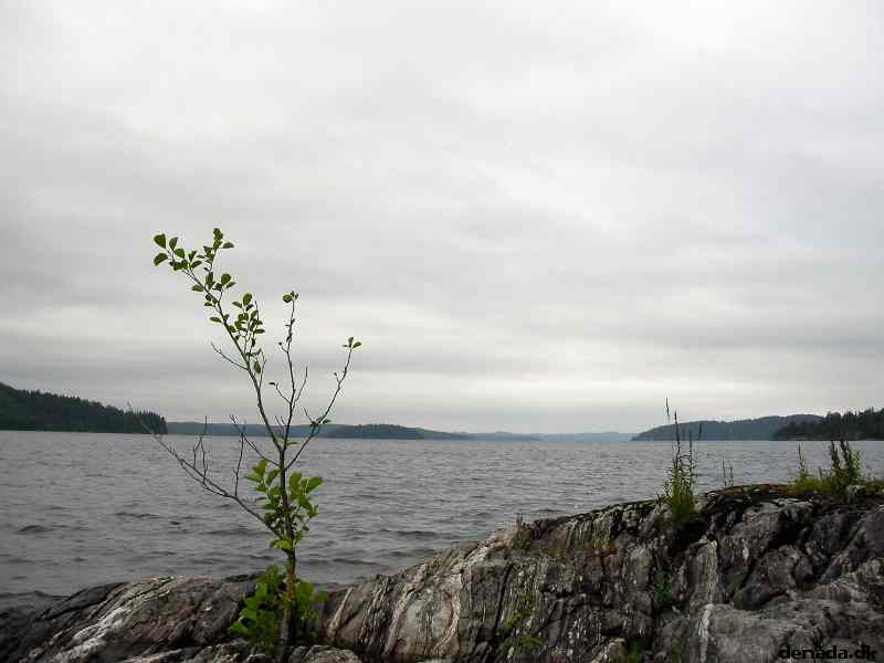 * Image 6