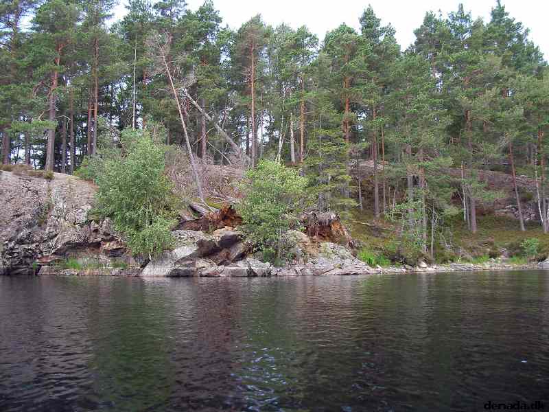 * Image 12