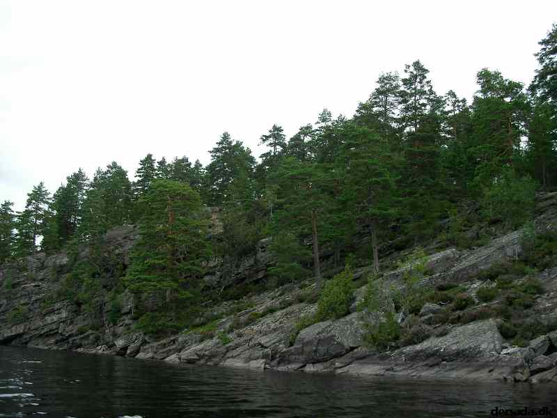 * Image 22