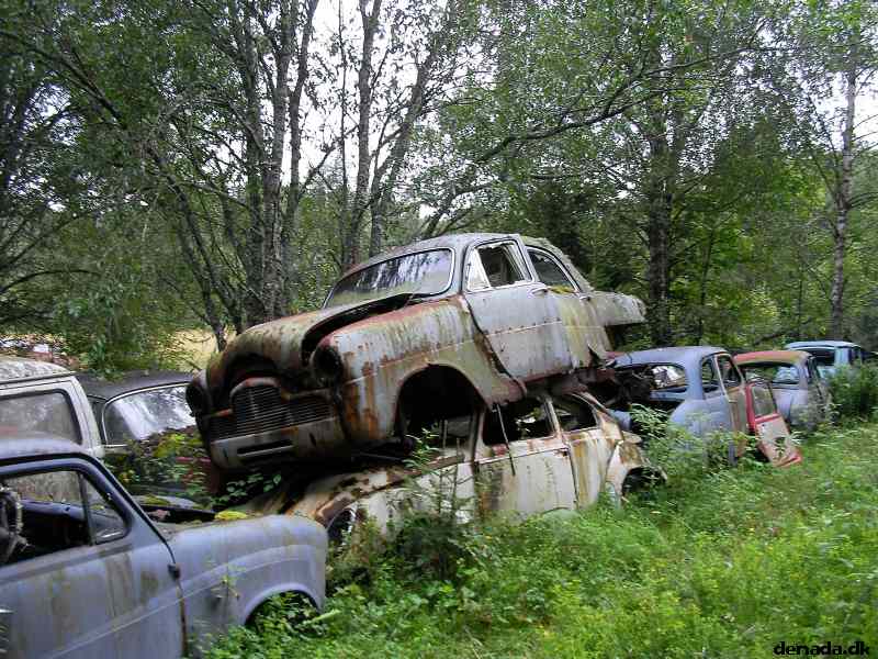 * Image 52